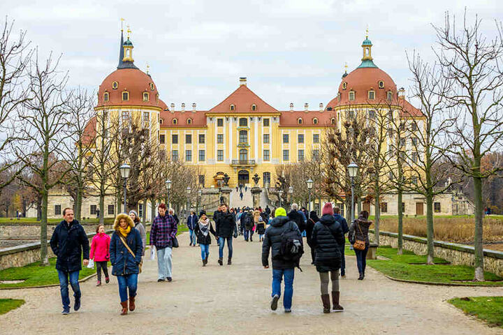 Wird die Ausstellung im November auf Schloss Moritzburg eröffnet, stehen die Besucher womöglich bis in die Allee Schlange.