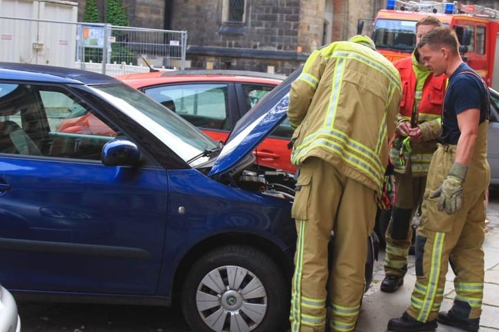 Im Motorraum des Skoda hatte sich eine Katze versteckt. Durch den Start des Wagens wurde die Mieze eingeklemmt.