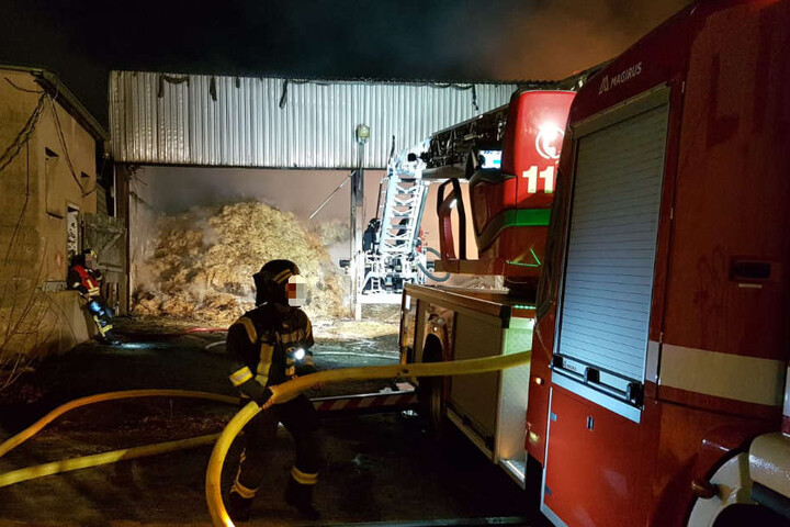 Die etwa 50 mal 10 Meter große Lagerhalle eines LPG-Hofs brannte komplett nieder.