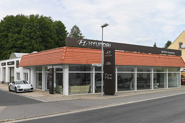 Die Mitarbeiter vom Autohaus Wacke (Filialen in Luppa, Oschatz und Riesa) steuerten schon 300 Euro für die Tierarzt-Kosten bei.