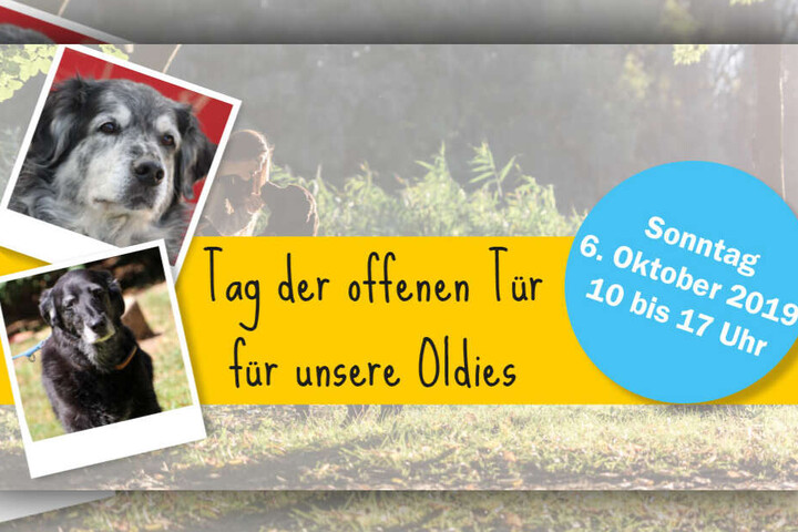Am Sonntag den 6. Oktober lädt das Tierheim zu einem Tag der offenen Tür nach Riem ein.