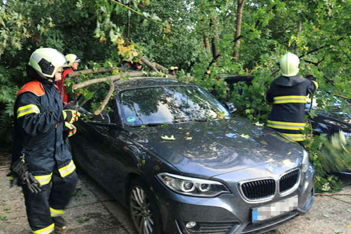 Auch in Erfurt musste die Feuerwehr Fahrzeuge von Bäumen befreien. Wie hier am Güterbahnhof.