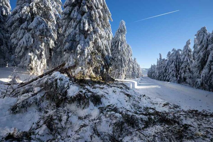 In den Wäldern rund um den Fichtelberg knicken immer wieder Äste von den Bäumen ab.