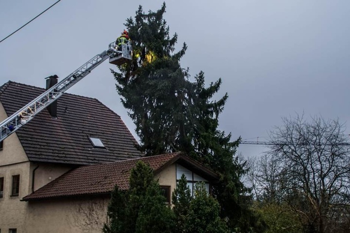 Auch Hausdächer hatte es erwischt. Die Feuerwehr musste diesen Baum mittels einer Drehleiter Stück für Stück absägen.
