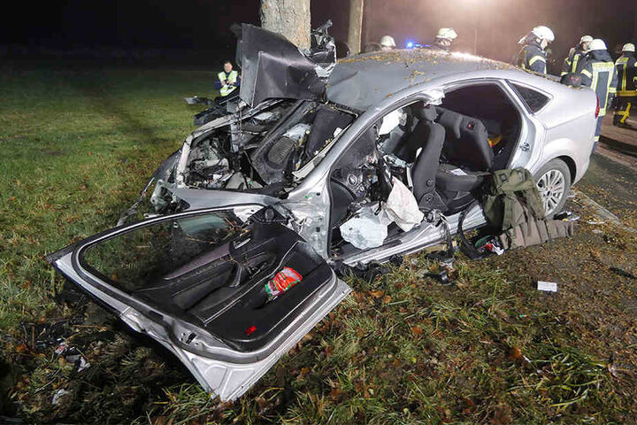 Das Auto hatte den Baum auf dem Beifahrersitz.