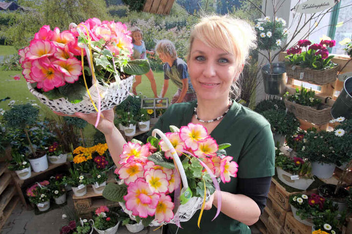 Im "Dehner"-Gartenmarkt wartete gestern Mitarbeiterin Jana Wenzel (39) mit frischen Primeln auf die neuen Kunden.
