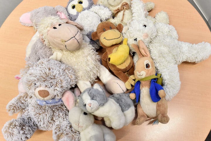 Uhu, Hase und Äffchen: Ein Dutzend Kuscheltiere warten auf die Kids, die sie verloren haben.