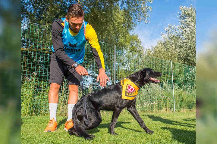 Pascal „Paco“ Testroet mit Mischling
„Paco“, dem tierischen Dynamo-Fan.