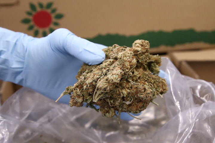 Bei den Durchsuchungen stellten die Ermittler über 20 Kilogramm Marihuana sicher (Symbolbild).