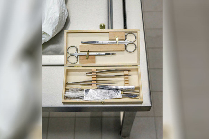 Mit dem Präparationsbesteck arbeiten sich die Studenten von außen nach innen durch den Körper.