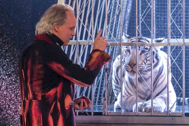 Andre Sarrasani lässt Tänzer im Käfig verschwinden. Simsalabim - und Tiger-Dame Kaya nimmt ihren Platz ein.