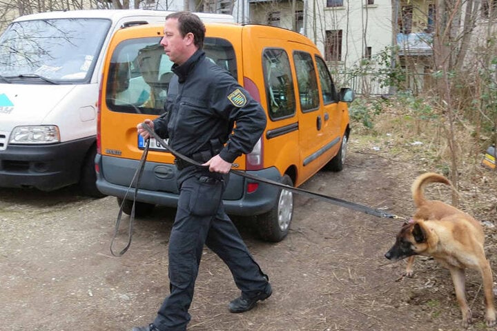 Mit Spürhunden wird das Gebiet abgesucht.