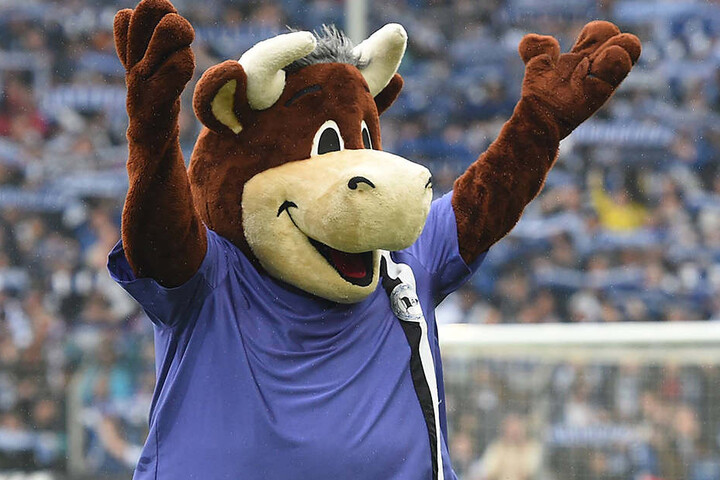 Lohmann, das Maskottchen der Arminia, trägt die Rückennummer 26!