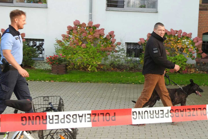 Nach der Evakuierung kommen Bombenspürhunde zum Einsatz.