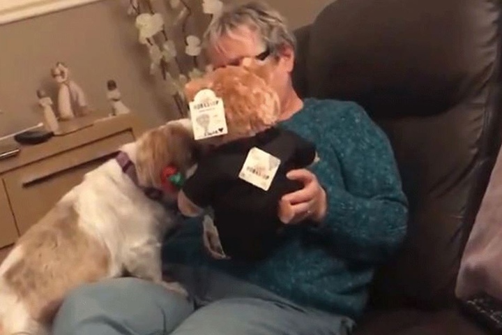Ihre Tränen verbarg sie hinter dem Teddy.