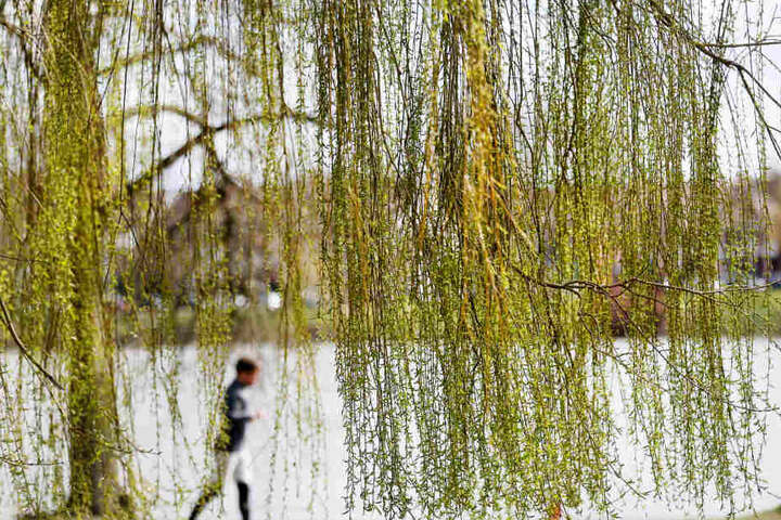 Am Freitag soll es in NRW überwiegend sonnig und warm werden.