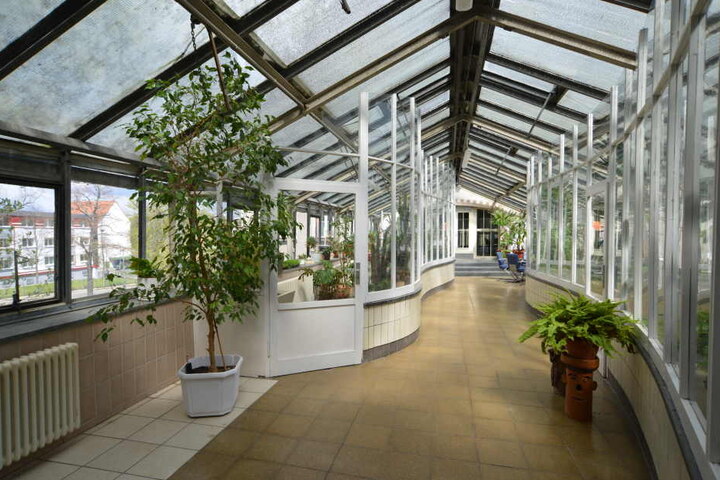 In dem Glasgang ist auch ein kleiner Wintergarten untergebracht.