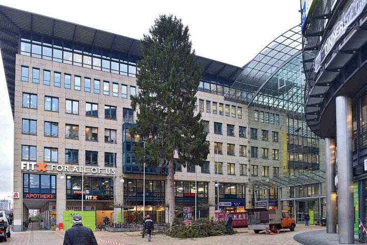 Das "Festmahl" aus dem WTC ist 25 Meter hoch.