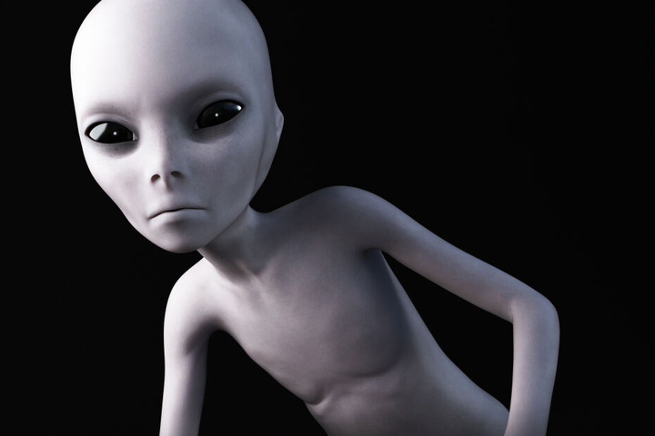 Aliens wurden bei der Suche nicht entdeckt.