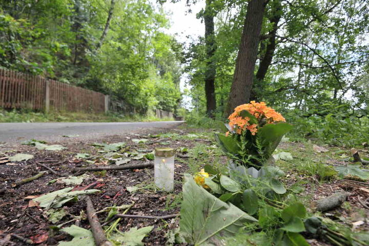 Ein herabfallender Baum-Ast erschlug die Radfahrerin Gisela M. (73).