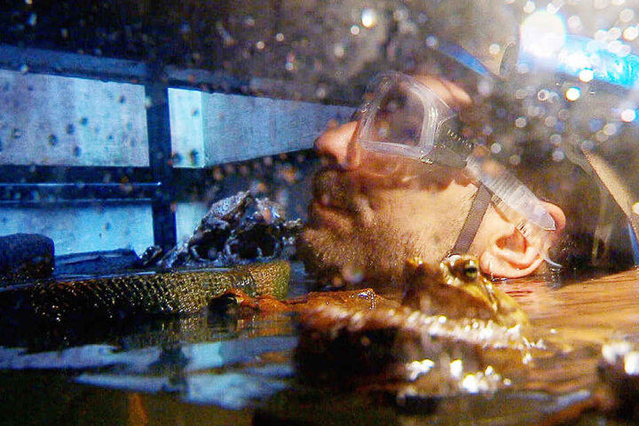 Marc musste in einen Kanal hinabklettern und Sterne finden. Natürlich war er nicht ganz allein da unten: Er traf auf Riesenkröten und Yabbie-Krebse, Aale, Schlammkrabben, Spinnen und ein Krokodil.