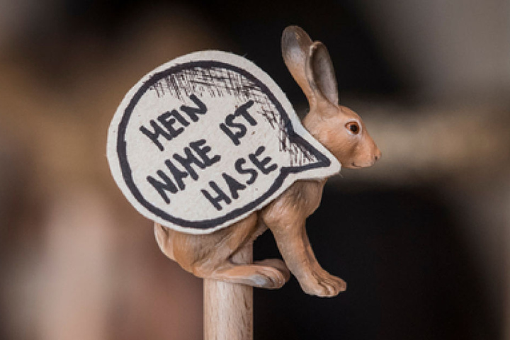 Eine der beliebtesten Redewendungen für alle, die keine Ahnung haben: "Mein name ist Hase"