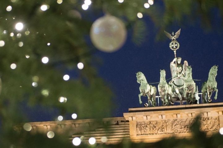 Auch dieses Jahr soll der Weihnachtsbaum aus Thüringen am Brandenburger Tor stehen. (Symbolbild)