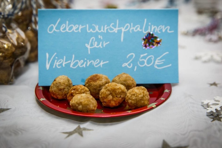 Lesen können Hunde zwar nicht, aber schlecht werden lassen die Vierbeiner ihre Leckerli auch nicht.