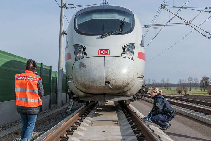 Der ICE musste eine Notbremsung einlegen.