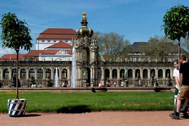 Insgesamt 76 Orangenbäumchen werden im Zwinger aufgestellt.