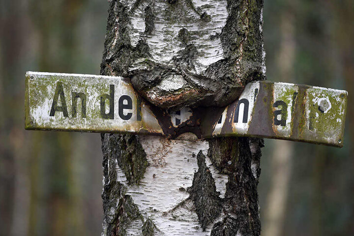 Ein eingewachsenes Straßenschild mit der Aufschrift "An der Stammbahn" zeugt von der einstigen Verbindung von Berlin nach Potsdam.