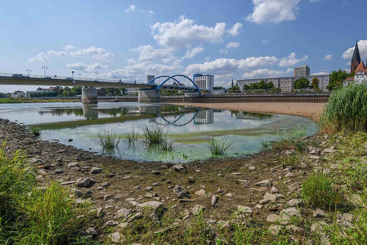 16. August 2018: Blick vom polnischen Ufer in Slubice in Richtung Frankfurt/Oder über das Niedrigwasser des Grenzflusses Oder. Der eigentliche Fluss verläuft hinter der Sandbank. Der Pegel des Flusses Oder stand am selben Tag bei 95 Zentimetern an der Peg