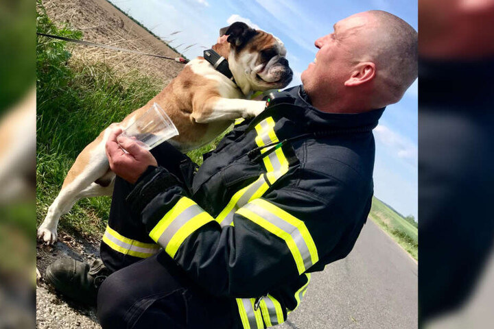 Aber schnell ist das Eis gebrochen und eine kleine Männerfreundschaft zwischen Feuerwehrmann Enrico Paul und Hund entsteht.