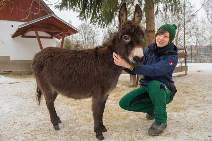 Neuzugang Sophy hat sich im Mini-Zoo gut eingelebt.