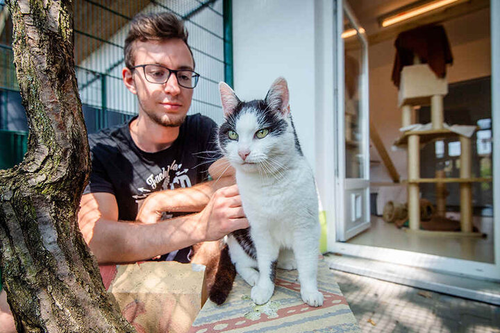 Auch die neue Katzenpension soll Geld in die Tierheimkasse spülen.