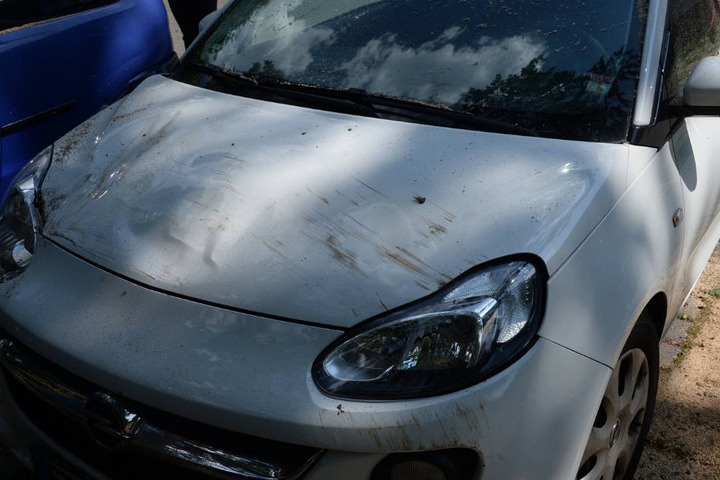 Der andere Wagen hatte eine mehrfach eingedrückte und total zerkratzte Motorhaube.