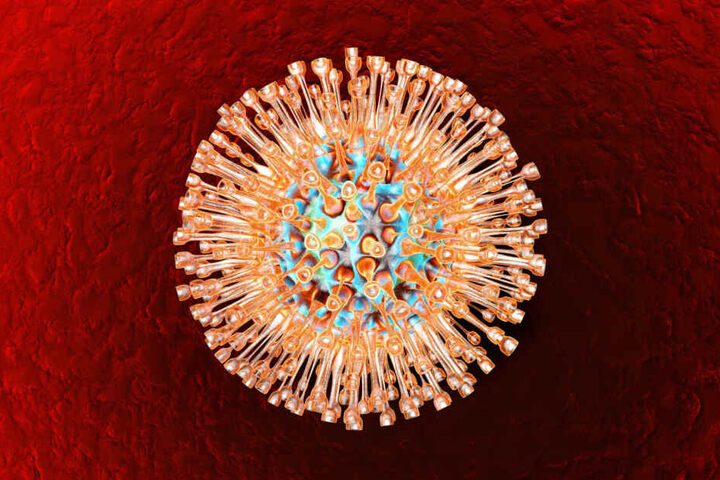 Der Herpes-Virus findet sich besonders häufig im Mundraum.