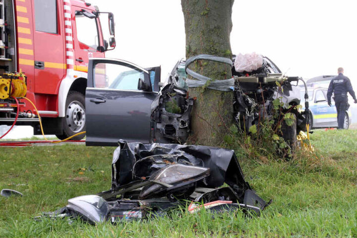 Der Fahrer soll ungebremst in den Baum gerast sein.