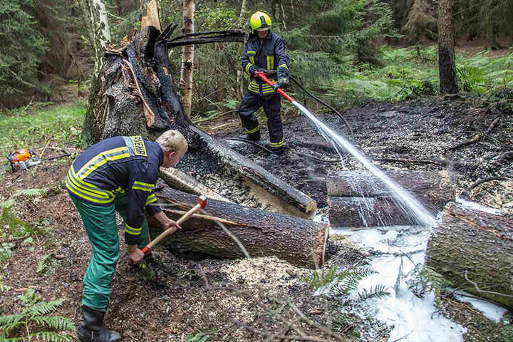 Die Feuerwehr löschte schnell den aufkeimenden Brand ab.