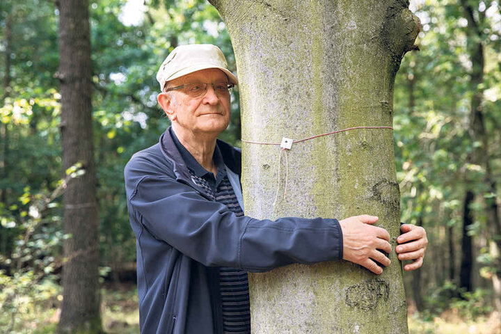 Harald Herrig (78) umarmt eine Buche. Am Fuße dieses Baumes möchte er seine letzte Ruhestätte finden,soll die Urne mit seiner Asche vergraben werden.