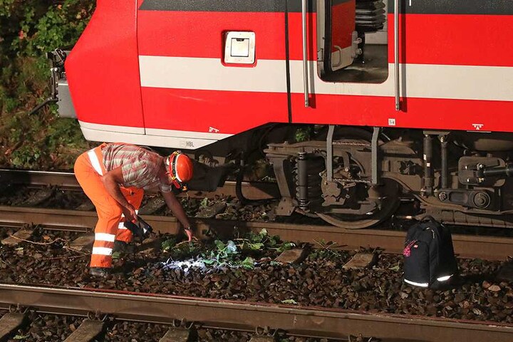 Der Zug war mit mehreren Ästen und anderen Baumteilen kollidiert, welche von der Feuerwehr beseitigt werden mussten.