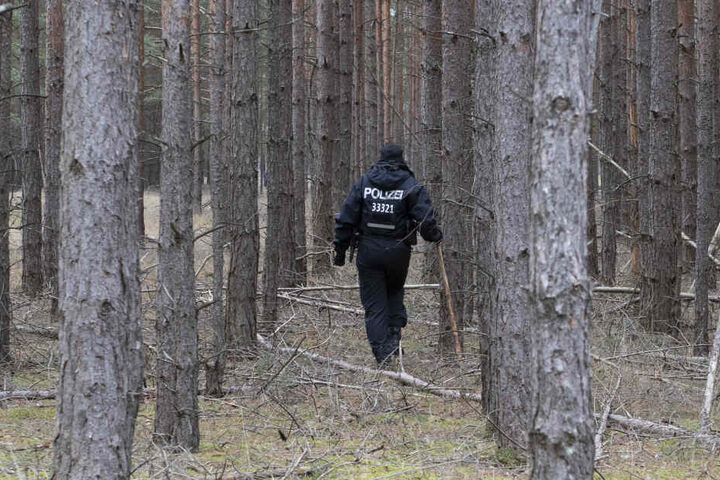 Ein Polizist durchsucht ein Waldstück im Landkreis Oder / Spree auf der Suche nach Rebecca.