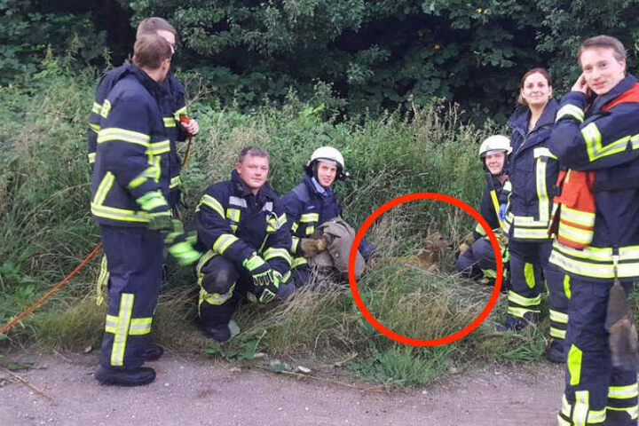 Stolz posieren die Lebensretter mit dem kleinen Rehkitz.