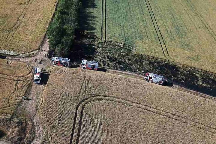 Mehrere Feuerwehren waren zum Einsatz gekommen.