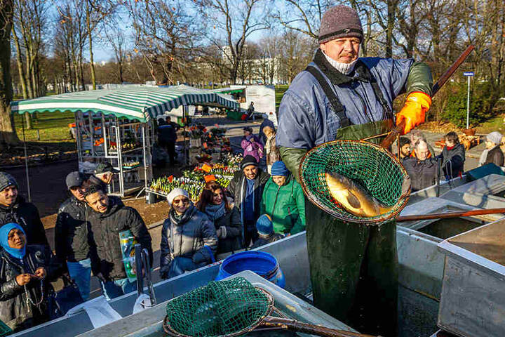 Fischwirt David Fichtner (32) hatte reichlich Karpfen im Angebot.