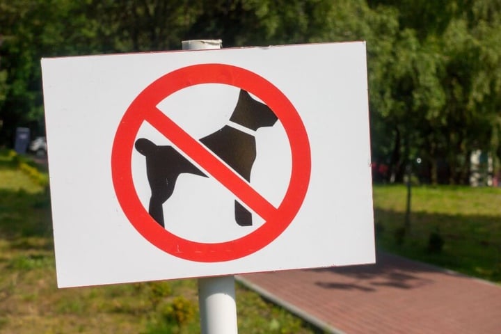 In dem Park herrscht eigentlich ein Hundeverbot. (Symbolbild)