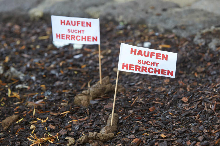 Kleine Fähnchen sollen zukünftig die Hundehaufen markieren.