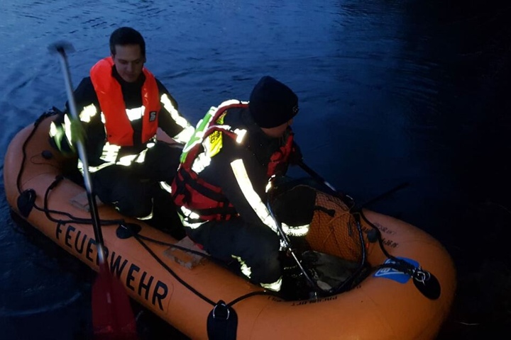 Per Boot gelang die Rettung des Tieres.