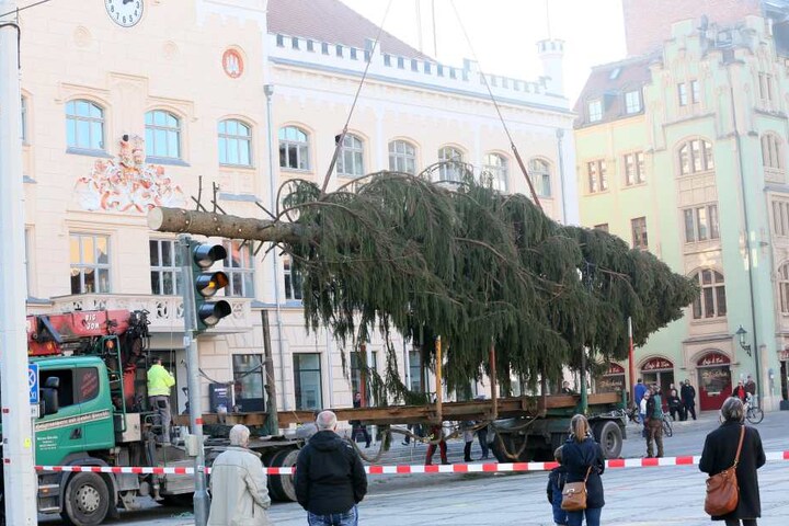 Die von der Stadt im vergangenen Jahr ausgesuchte Fichte war bei der Bevölkerung nahezu komplett durchgefallen.