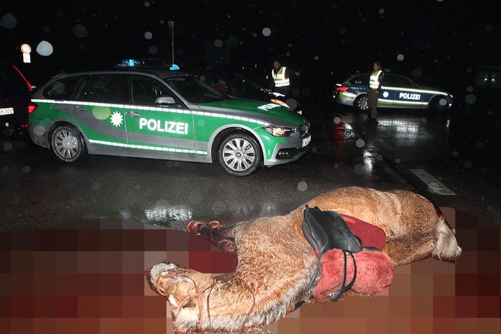 Das Pferd hatte musste vor Ort von seinen Leiden erlöst werden. Die Reiterinnen kamen schwer verletzt ins Krankenhaus.